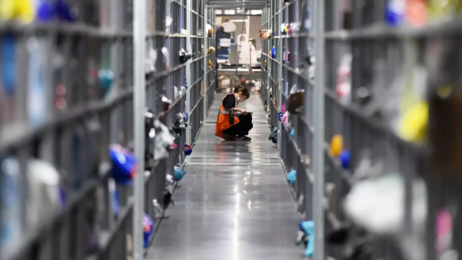 Wildberries назвал самую дорогую покупку на маркетплейсе в 2025 году