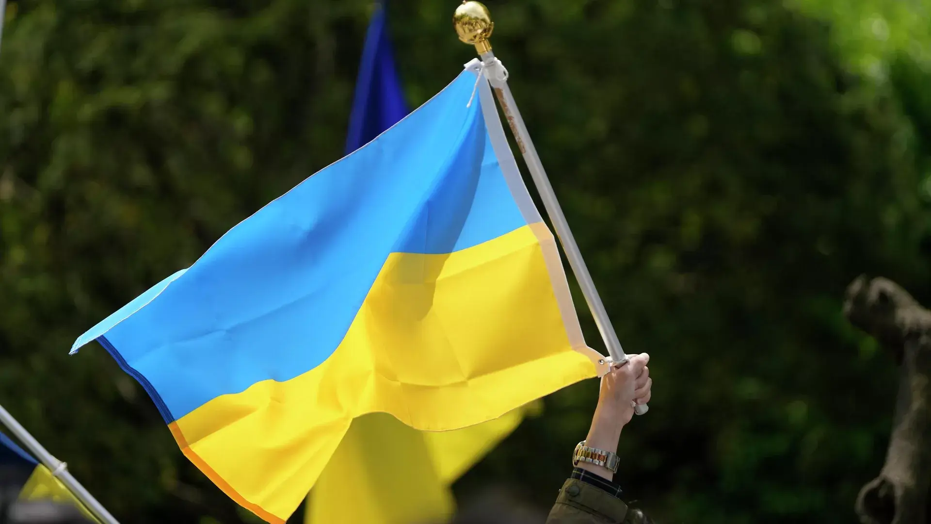 Фулфилмент новости: ВС РФ освободили Рыжевку и Зарницу: сводка за 5 августа